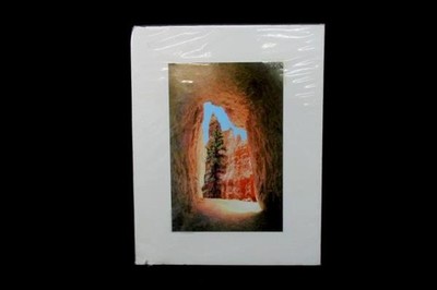 Bryce Canyon Matted Print Photograph 10x6.5 by Marilyn Affolter Art Photo