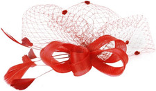 Fascinators Hats for Womens Tea Party Derby Hat Feather Mesh Veil Headwear Hair