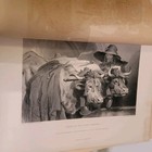 Picture 2 of 13