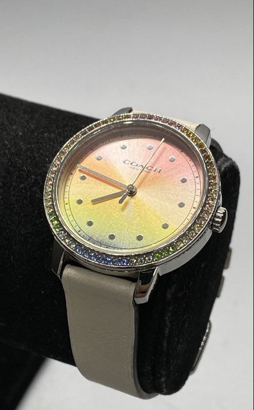 Coach Stainless Steel 32 mm Analog Quartz Women's Wristwatch