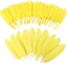 iHUFeather 270pcs Yellow Goose Feathers for Crafts 2 Styles 4-7 inch 