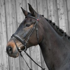 Kieffer Ergonomic Line Snaffle Bridle-Black/Black Lining