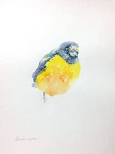 Fifi Bird,  Birds, Watercolor artwork, Handmade, Original painting on paper