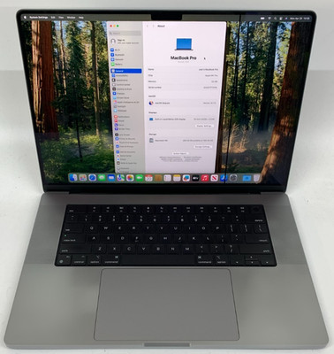 Apple MacBook Pro A2485 16,2'' M1 PRO 32GB RAM 512GB SSD Grade C US 303 Zyklen