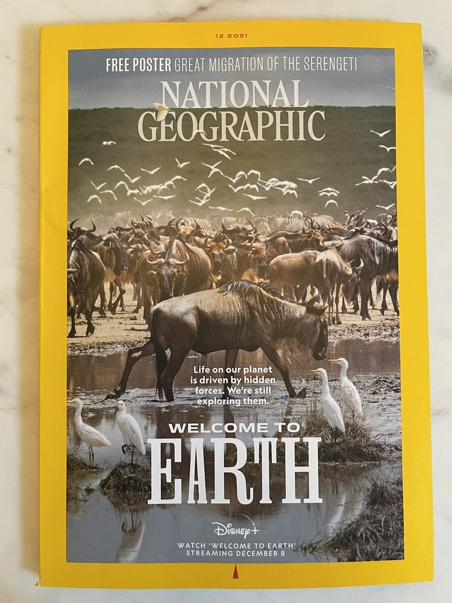 National Geographic Geo Tv Live Channel National Geography