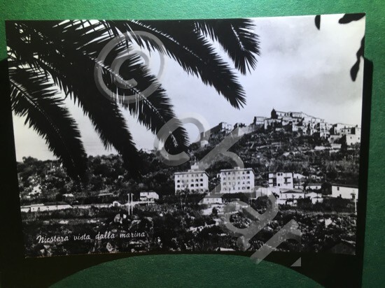 Picture 1 of 1