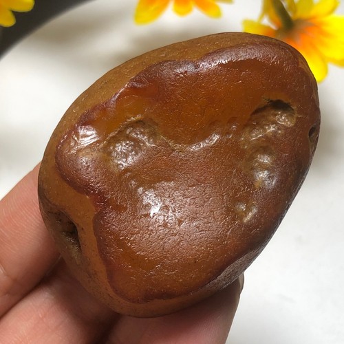 92g Bonsai Suiseki-Natural Gobi Agate Eyes Stone-Rare Stunning Viewing-E5 - Bild 4 von 20