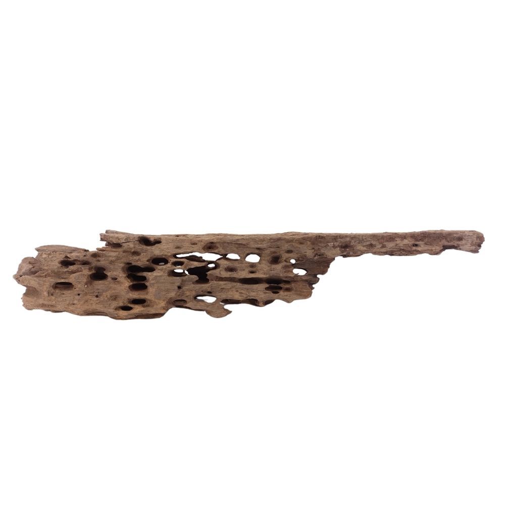 XL Honey Comb Radice Nr.1932 Acquario Mangrovie Decorazione Legno Aquascaping foto 4