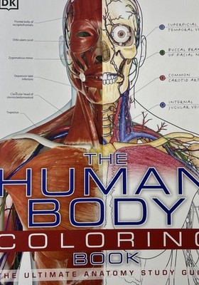 C@@L Human Body Coloring Book Ultimate Anatomy Study Guide Student Learning