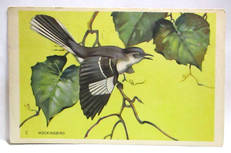 1939 POSTCARD MOCKINGBIRD, NATIONAL WILDLIFE FEDERATION, BIRD