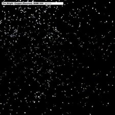 Tim Wright - Oxygen (Remixes), 12