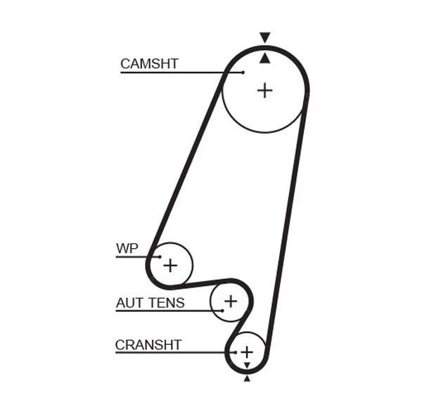 Gates 5367XS Zahnriemen, Opel Astra, Calibra, Frontera, Kadett, Omega, Vectra-image