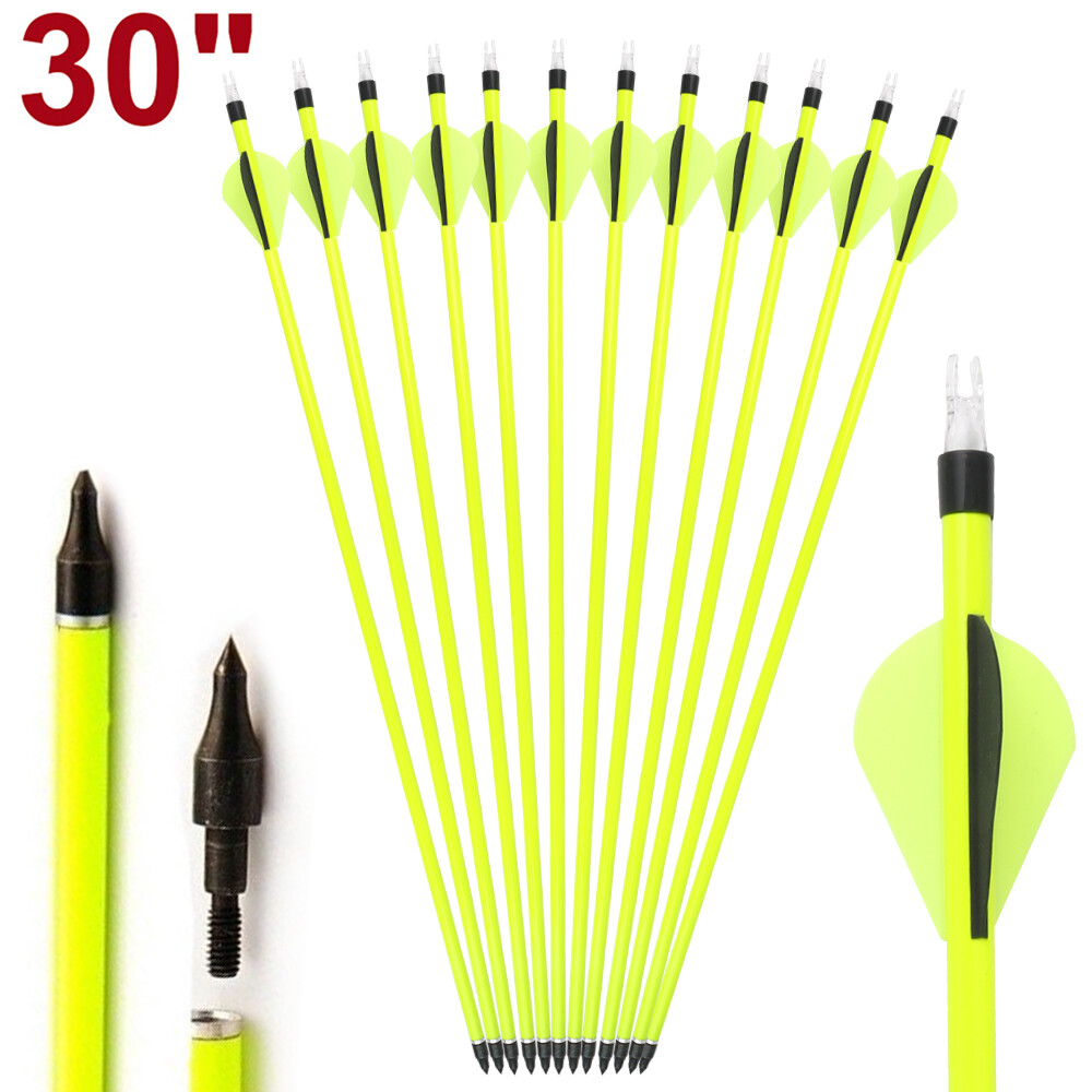 12Pcs Archery Carbon Hunting Target Arrows 30inch SP500 For Compound/Recurve Bow