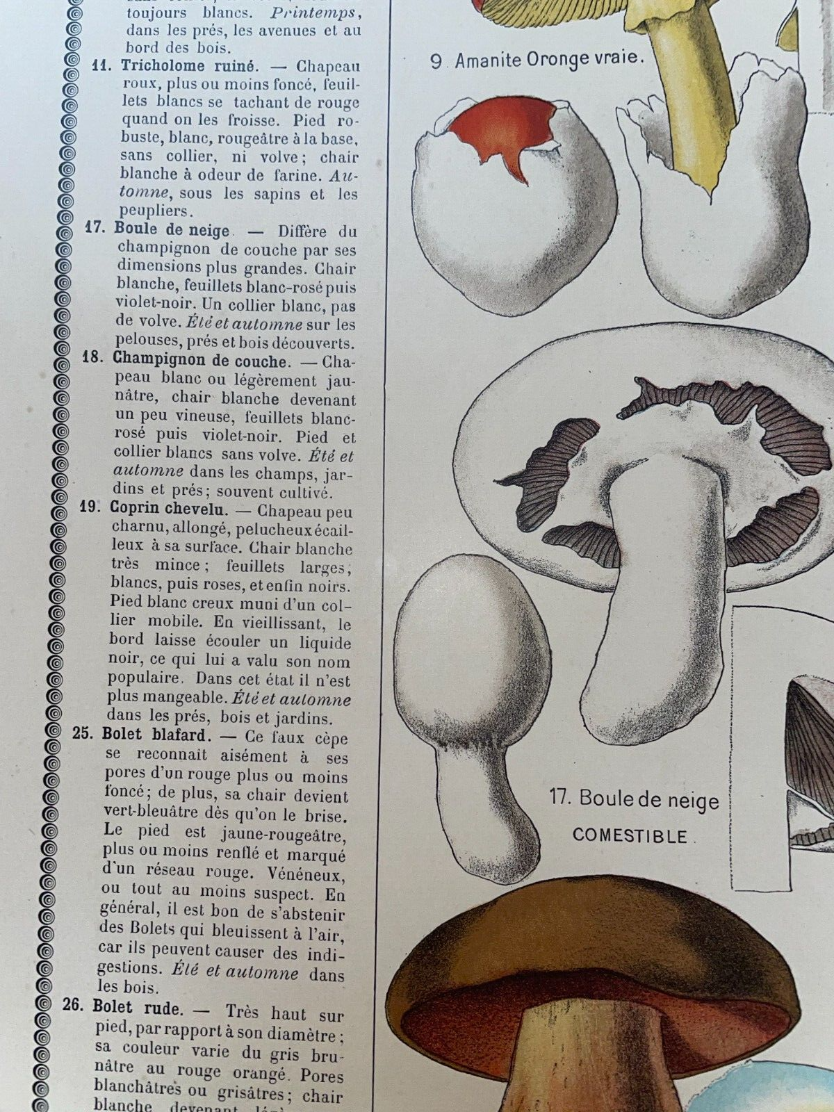 Bild 14 von 24