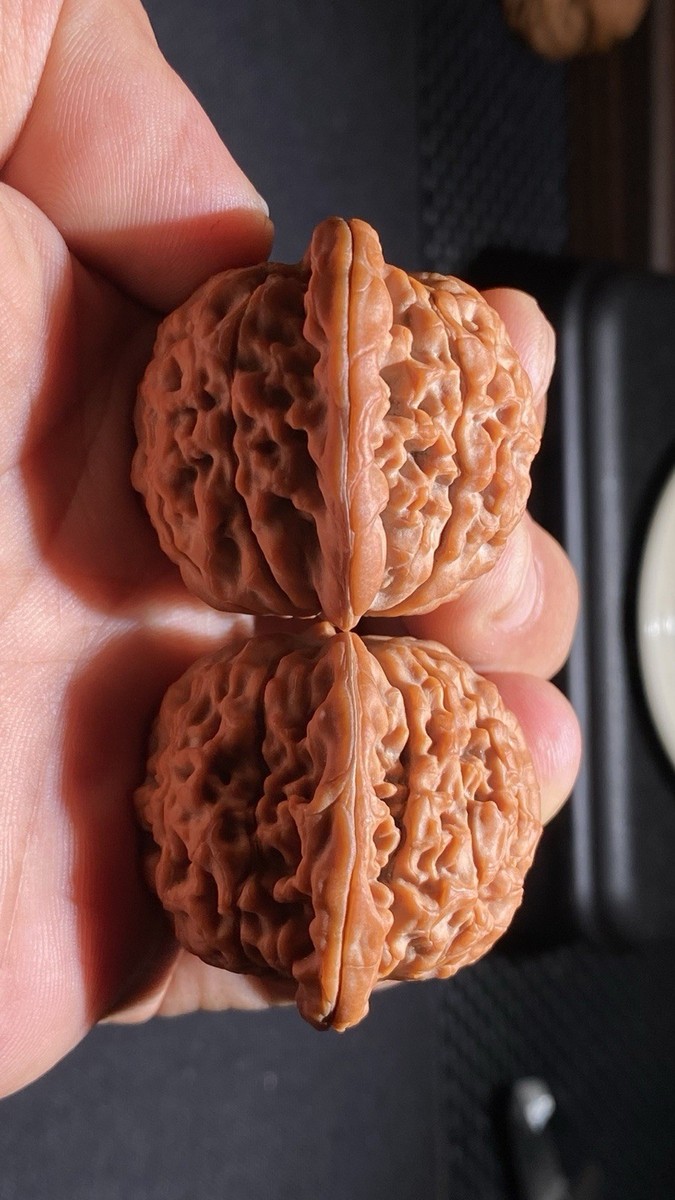 Traditional Chinese Wenwan Walnuts – Massage Balls 文玩核桃莲花虎