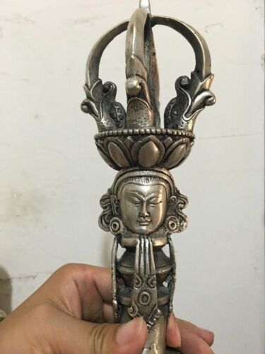 スティーブ・フィールド SILVER GRAE 最 安 価格