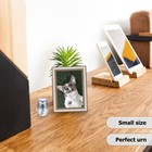 Bild 5 von 12