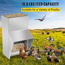 Metal Galvanized Chicken Feeder And Waterers With Lid Holds 11.5lbs Poultry feed