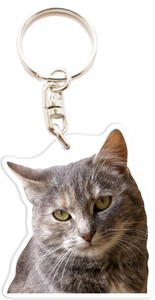 Chat Gouttiere Gris Porte Cles Personnalise Photo Prenom Texte Idee Cadeau R5 Ebay