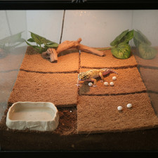 Reptile Substrate Coir Moisture Retaining Dust Free for Lizard Egg Incubation