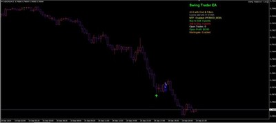  Swing Trader EA     MT4    2 Month License  