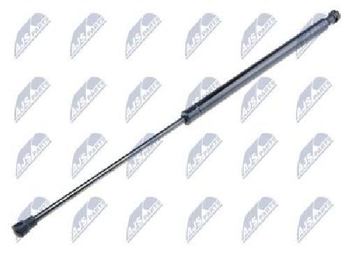 Original NTY Gas Spring Trunk/Cargo Area AE-RE-049 For Renault