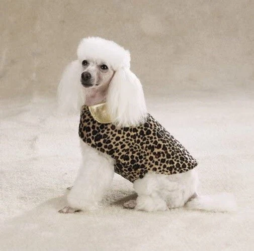 Zack and zoey dog deals jacket
