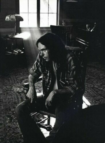 526691 NEIL YOUNG 80s 90s Retro Vintage Photo 16x12 WALL PRINT POSTER - Picture 1 of 7