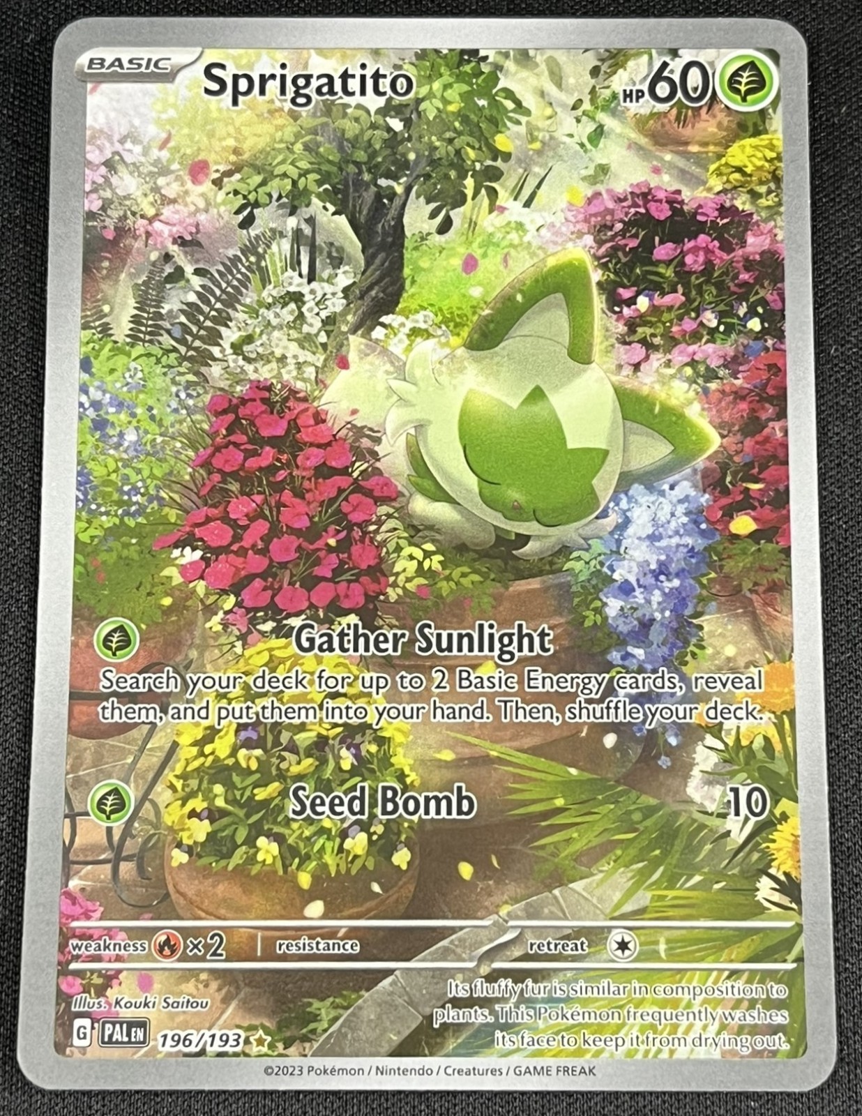 2023 Pokemon SV Paldea Evolved Sprigatito Illustration Rare #196/193