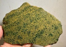 Kabamby Ocean Jasper Rough Slab!