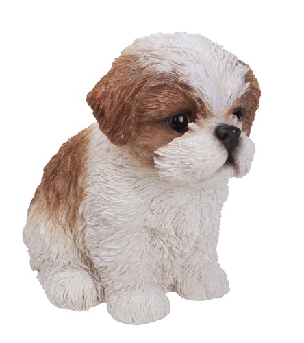 Vivid Arts Haustier Freund Hunde ShihTzu Welpe braun/weiß - Bild 3 von 3