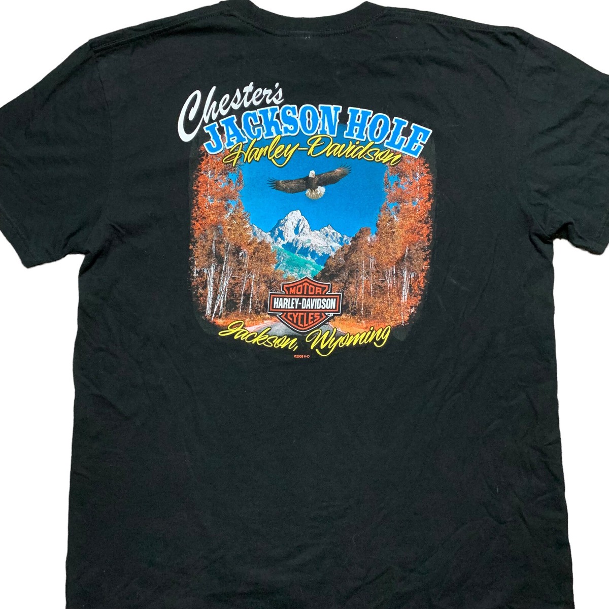 Harley Davidson Chesters Jackson Hole Mens Short Sleeve T Shirt XL