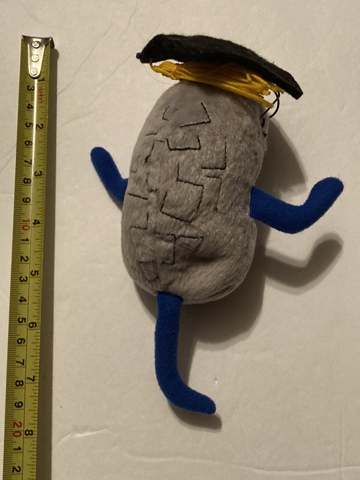Picture 5 of 5