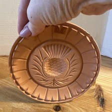 Mrs. Morrison Short Bread mold 6.5”  pineapple aloha terracotta With Instruction