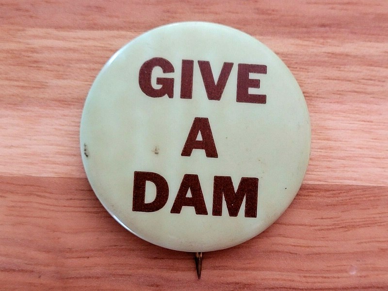 Vintage "GIVE A DAM" Pinback Button