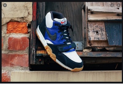 nike polar skate