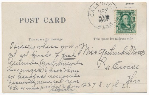 Beaver Creek, Caledonia, Minnesota 1907 RPPC - Imagen 2 de 2