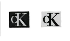 Toppa patch CALVIN KLEIN stampata ricamata termoadesivo riparazione giacca felpa