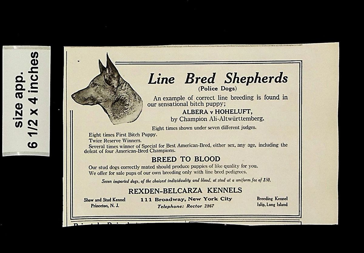 What is line breeding in dogs sales