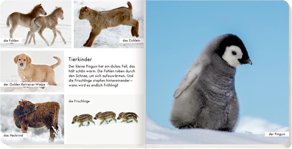 Thumbnail - Meine Liebsten Tiere Winter