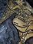 miniatuur 5  - BAPHOMET GOAT (GOLD COLOR) GENUINE LEATHER  BACK PATCH