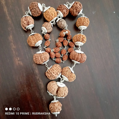 1-14 Mukhi,Rudraksha Siddha Mala Ganesh, Gaurishankar Nepali in Pure Silver, Nep