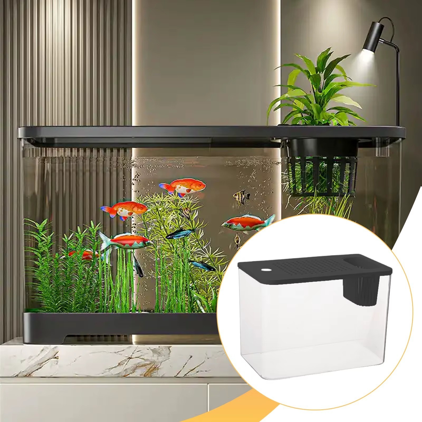 Terrarium reptile anti-buée pour stopper l'humidité et voir votre animal