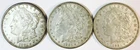 *LOT OF 3 1921 D MORGAN SILVER DOLLARS* *AU* NR #S1175