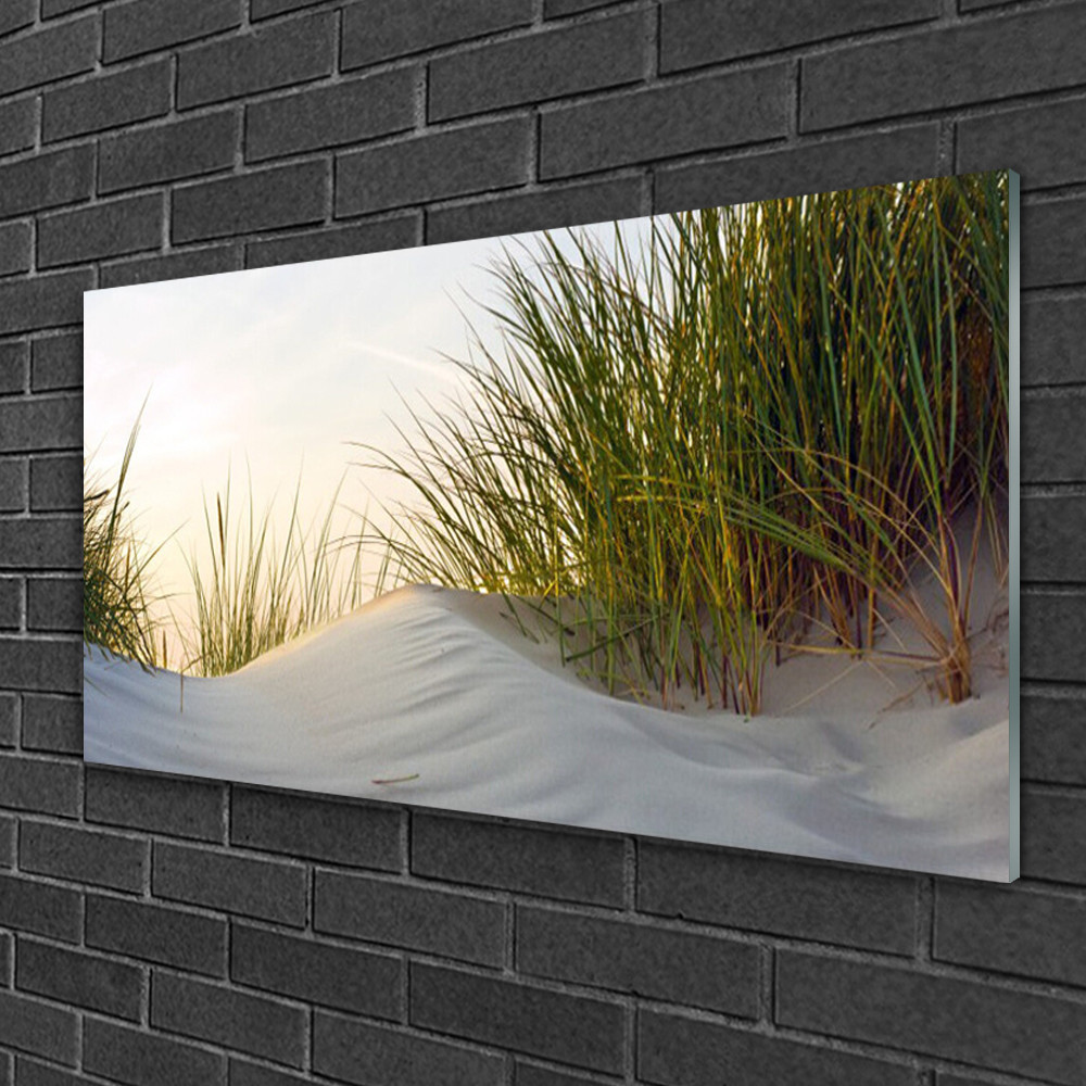 Tableau sur verre d'art impression 100x50 paysage herbe sable déco murale panoramique