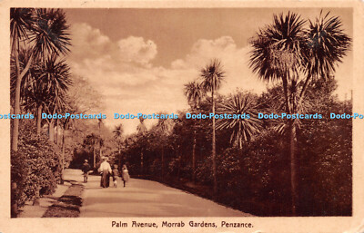 R243040 Palm Avenue Morrab Gardens Penzance Lethbys Bazaar 1920
