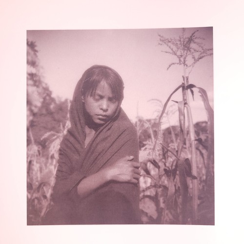 The Work of Dorothea Lange CELEBRATING A COLLECTION By Therese Thau Heyma 1st ed - Picture 6 of 15