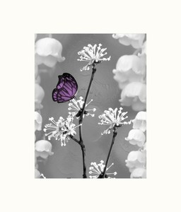 Black White Butterfly Wall Art Bedroom Living Room Home Decor