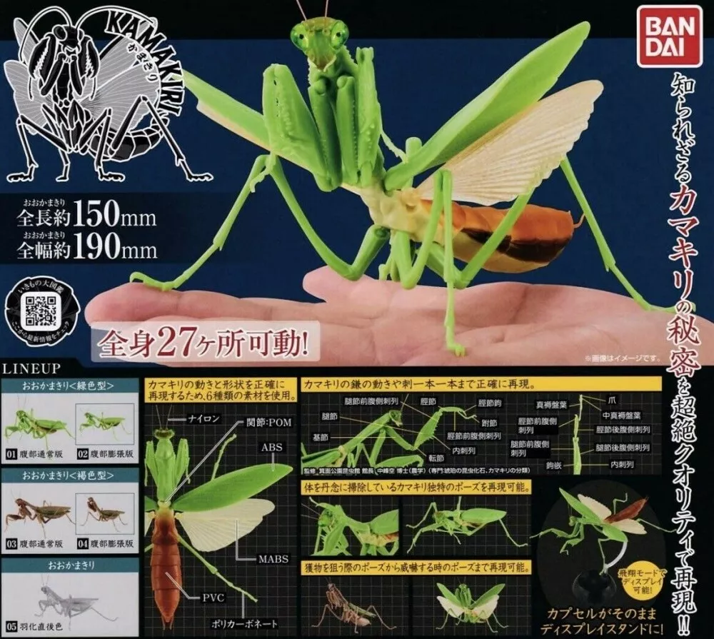 AVISO アビソ PRAYING MANTIS 5'6 ゴールドレーベル（AVISO