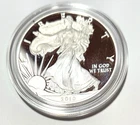 2010 W American Eagle One Ounce Silver Proof Coin OGP COA